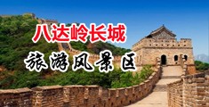 欠c骚货视频中国北京-八达岭长城旅游风景区