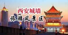 黄色免费观看美女被操中国陕西-西安城墙旅游风景区